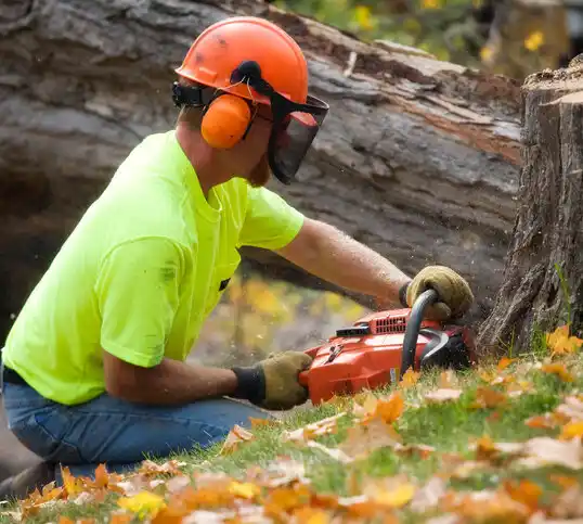 tree services Pine Island